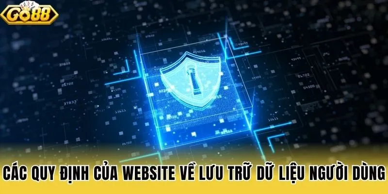 Các quy định của website về lưu trữ dữ liệu người dùng