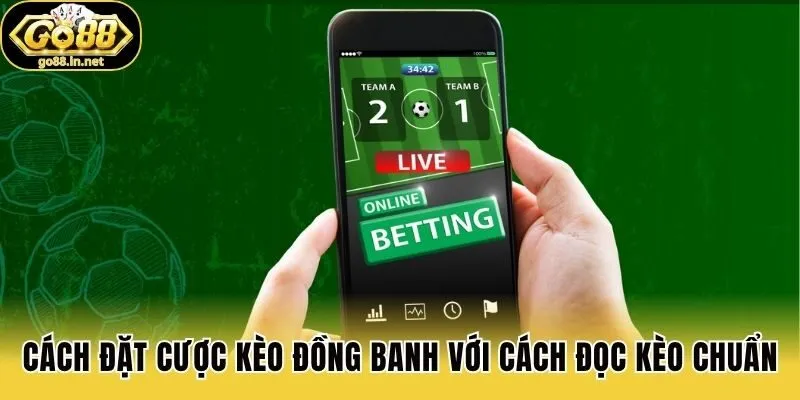 Cách đặt cược kèo đồng banh với cách đọc kèo chuẩn